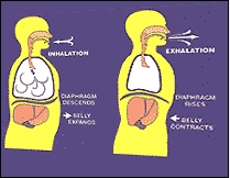 Diaphragmatic Breathing